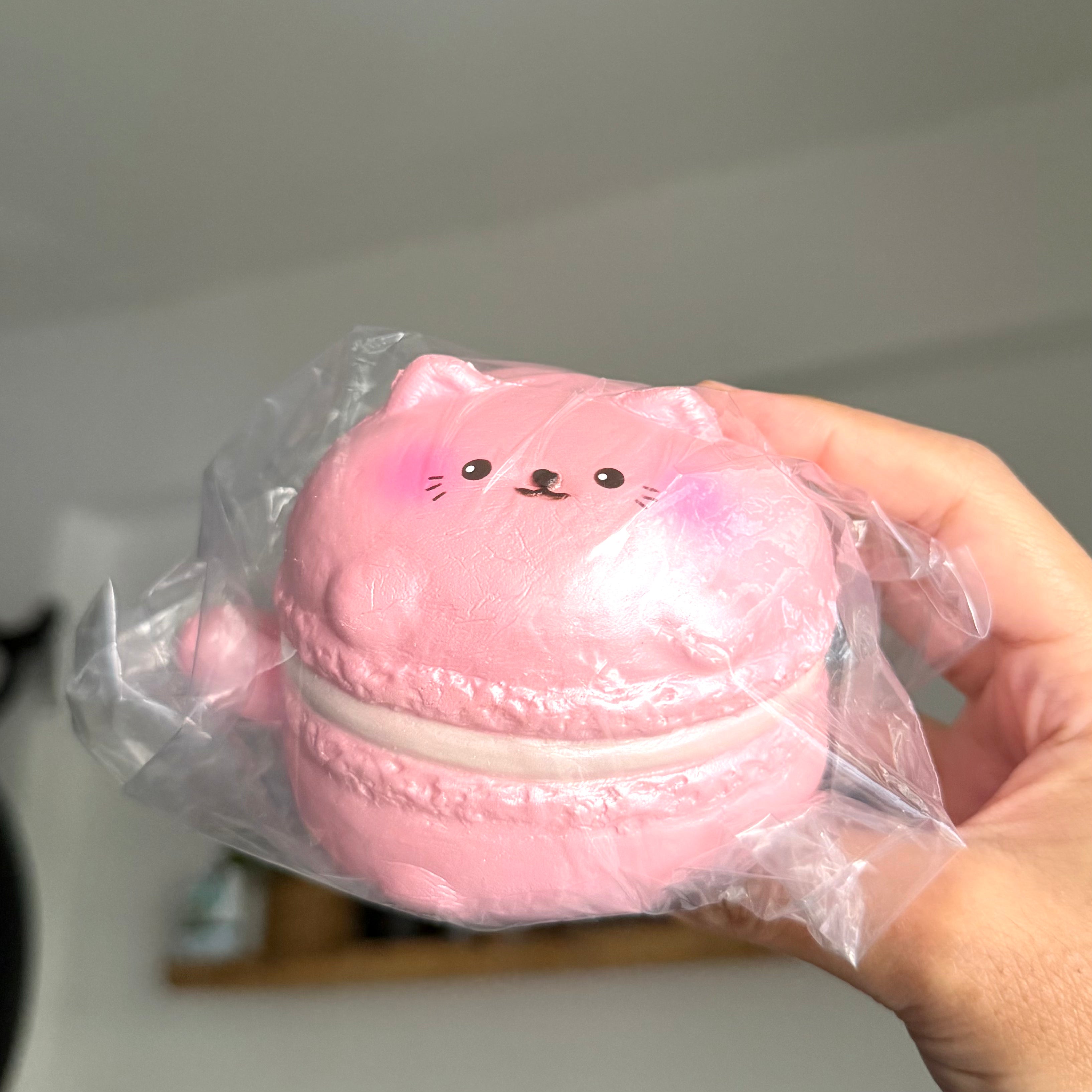 Puni Maru x Craaftyqueen Jumbo Cat Macaron Squishy